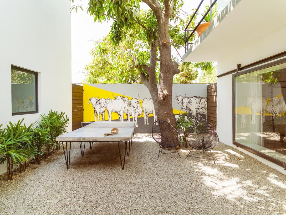 Drift San Jose Del Cabo, A Member Of Design Hotels 외부 사진