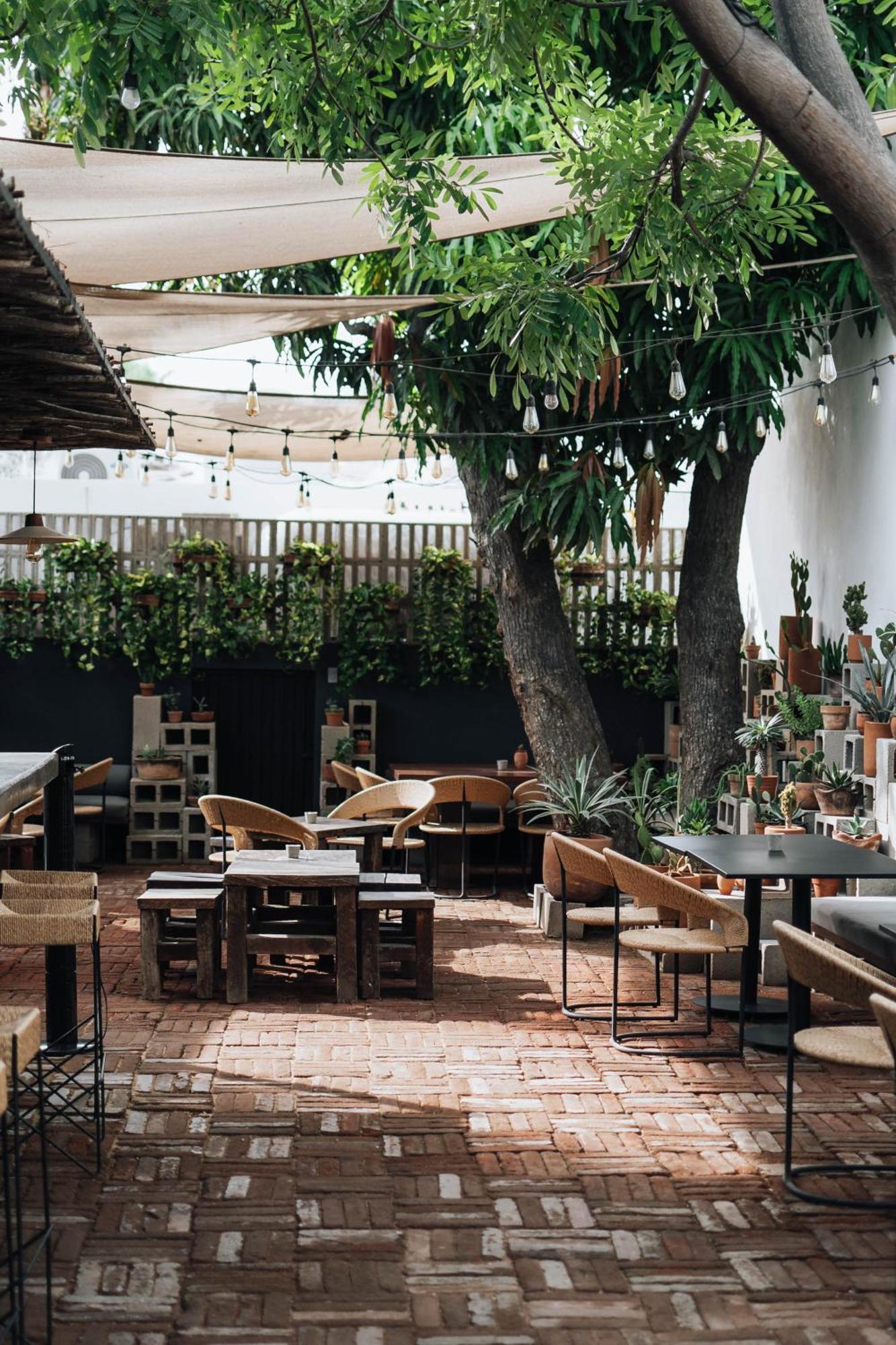 Drift San Jose Del Cabo, A Member Of Design Hotels 외부 사진