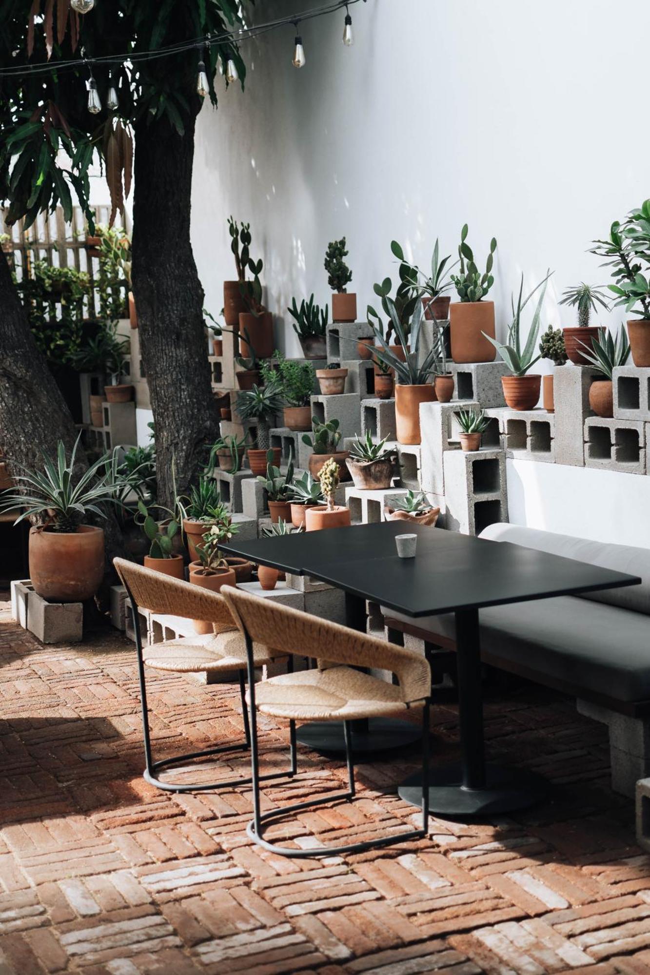 Drift San Jose Del Cabo, A Member Of Design Hotels 외부 사진